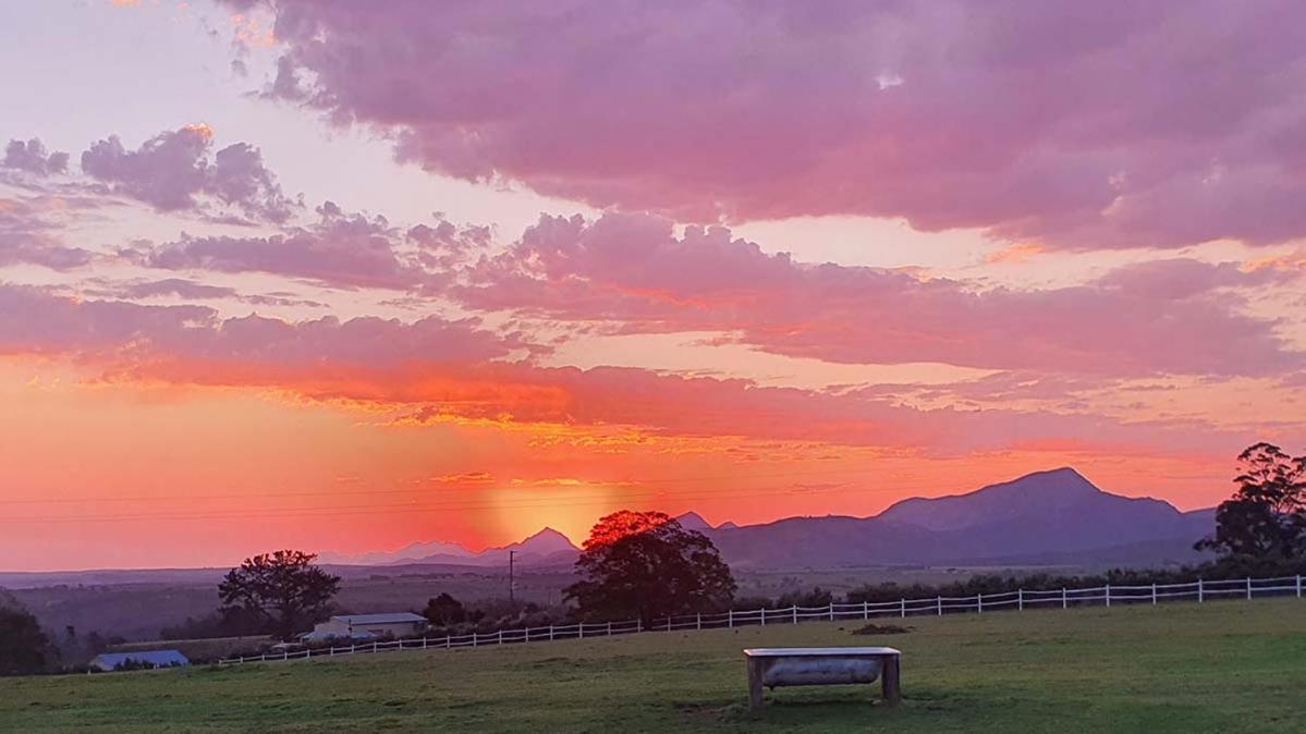 Outeniqua Moon Percheron Stud Farm Ruiterbos Exterior photo