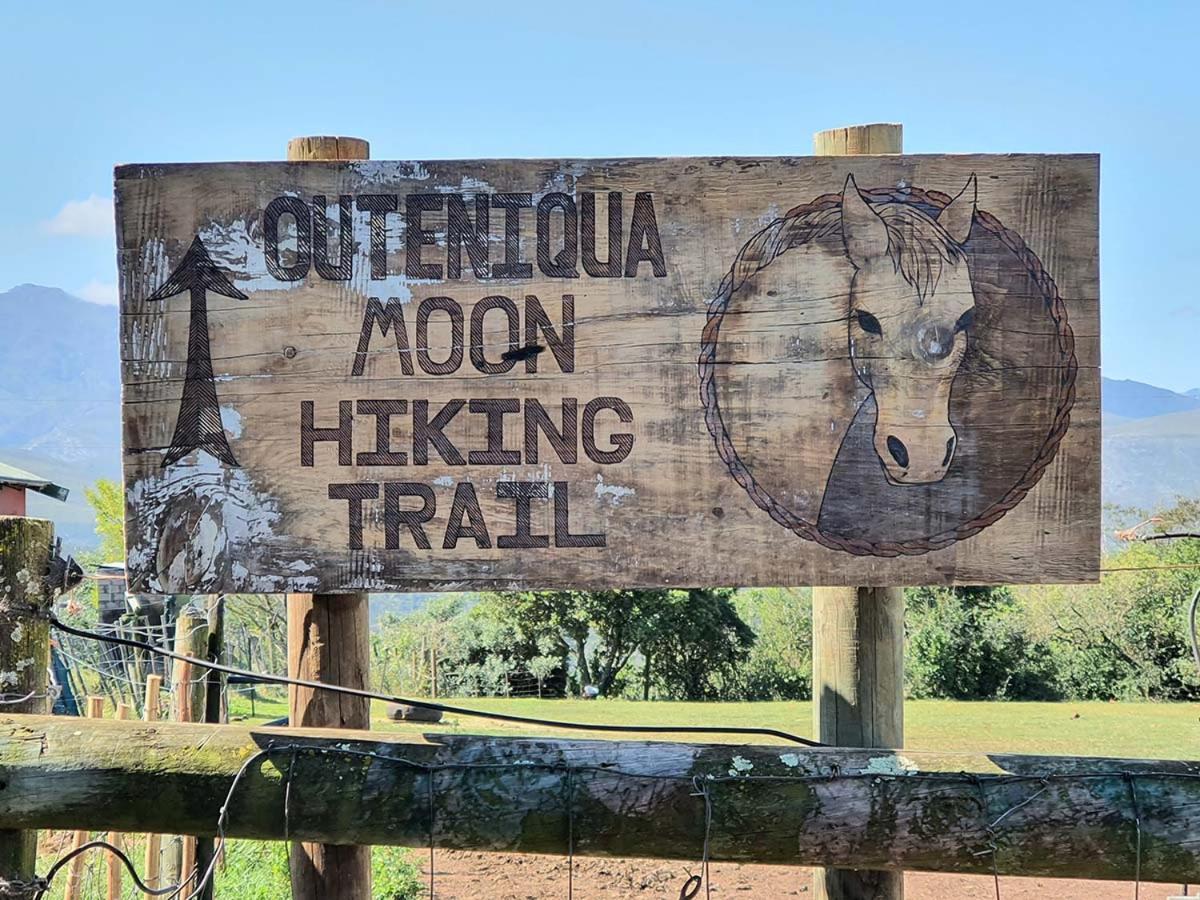 Outeniqua Moon Percheron Stud Farm Ruiterbos Exterior photo