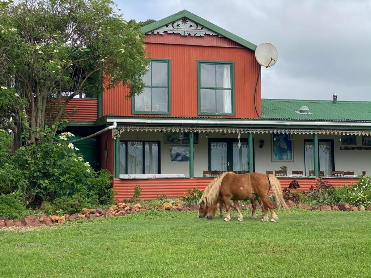 Outeniqua Moon Percheron Stud Farm Ruiterbos Exterior photo