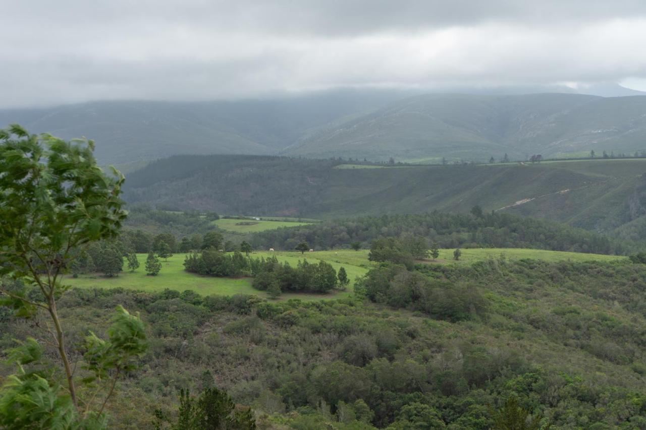 Outeniqua Moon Percheron Stud Farm Ruiterbos Exterior photo