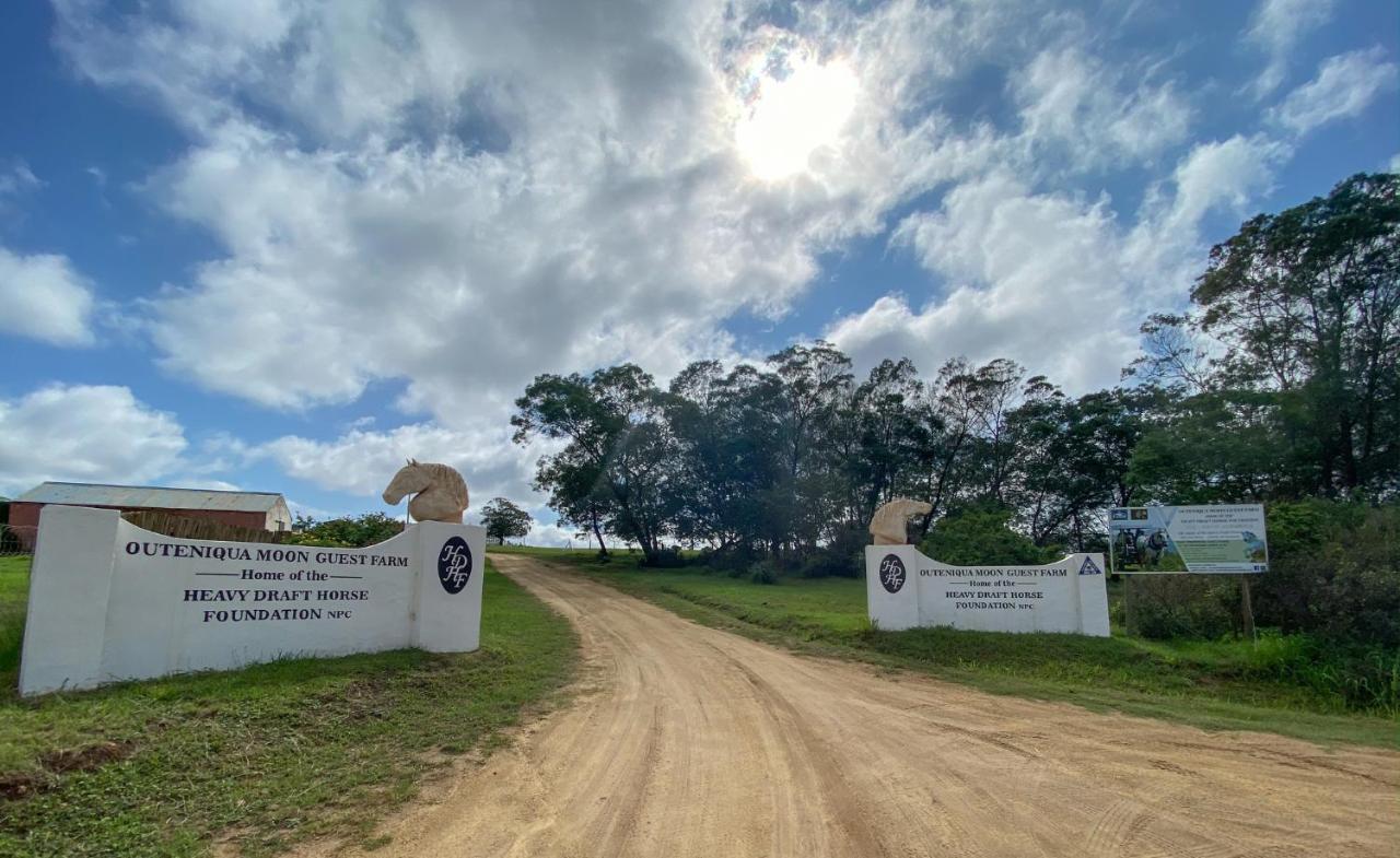 Outeniqua Moon Percheron Stud Farm Ruiterbos Exterior photo